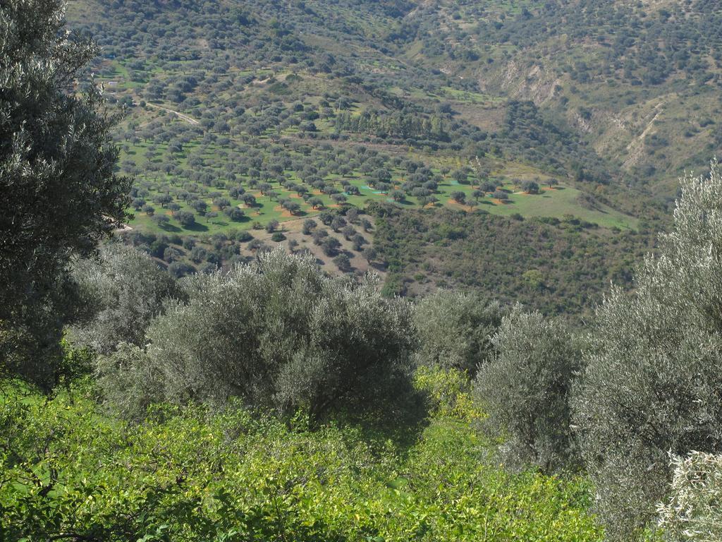 Casa Migliaca Alojamento de Turismo Rural Pettineo