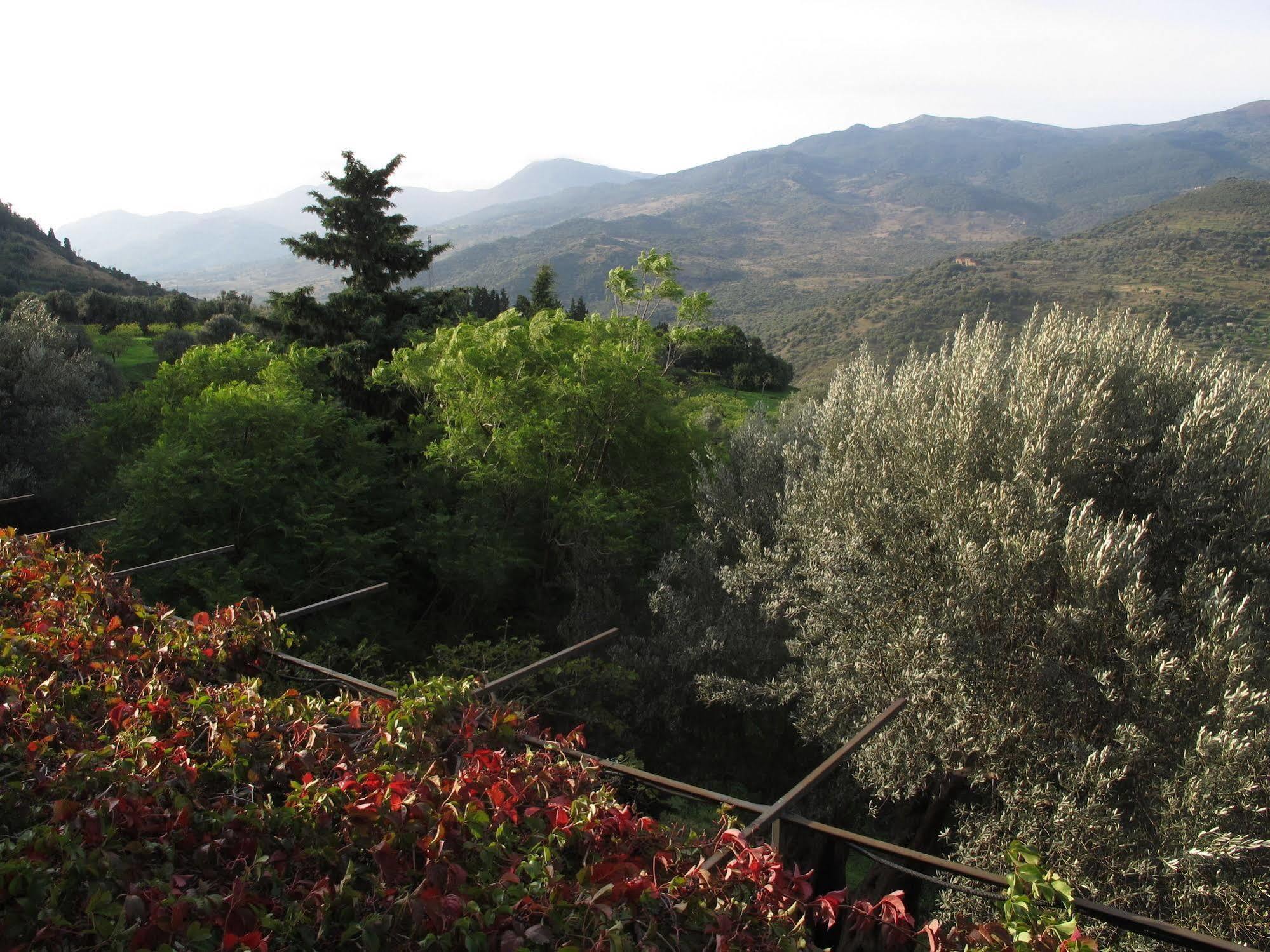 Alojamento de Turismo Rural Casa Migliaca *
